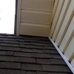 Eave / Soffit to Roofline Gap — Newnan, GA — Webbcon Wildlife Removal